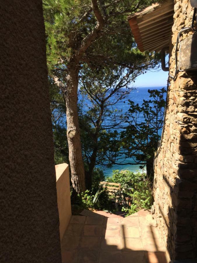 Apartmán La Gavaresse Carqueiranne Exteriér fotografie